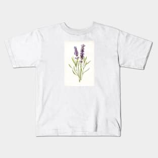 Vintage Lavender Botanical Print Kids T-Shirt